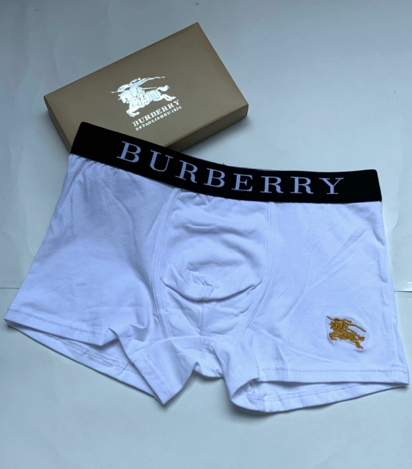 Burberry underwear men-B5815U